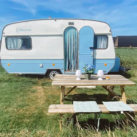 Het Caravannetje B&B - retro glamping-3
