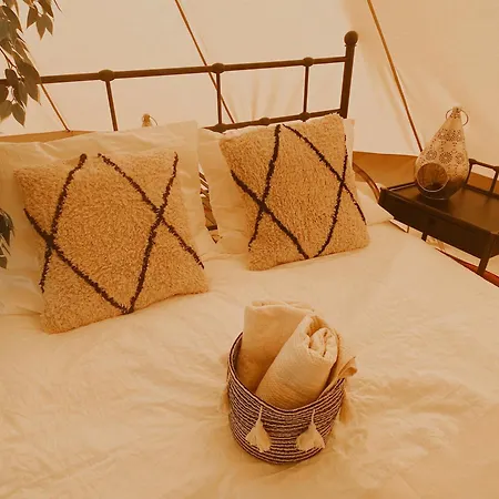 Het Caravannetje B&B - retro glamping-2